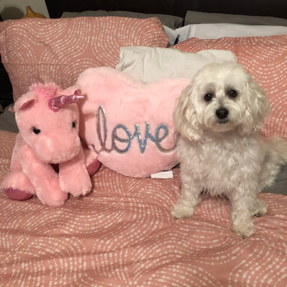 Meet your Posher, Edith